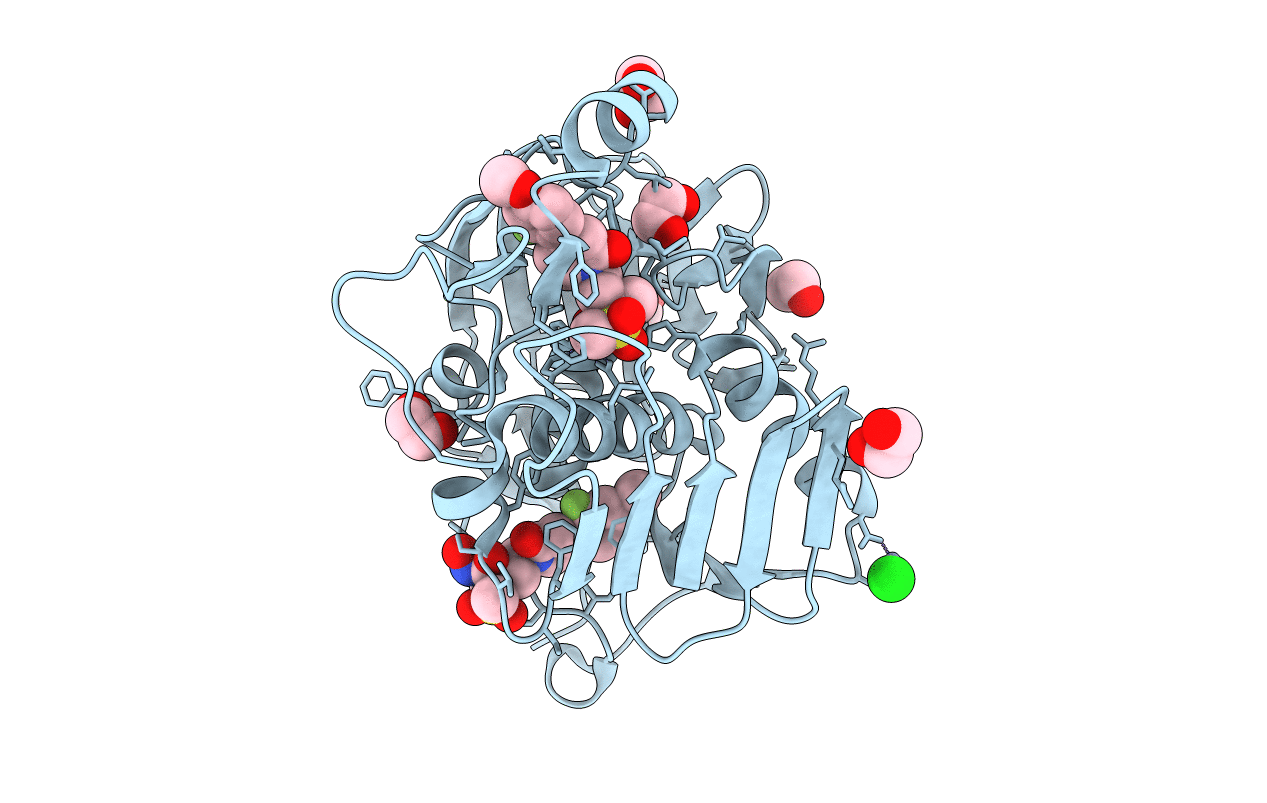 5UPG image