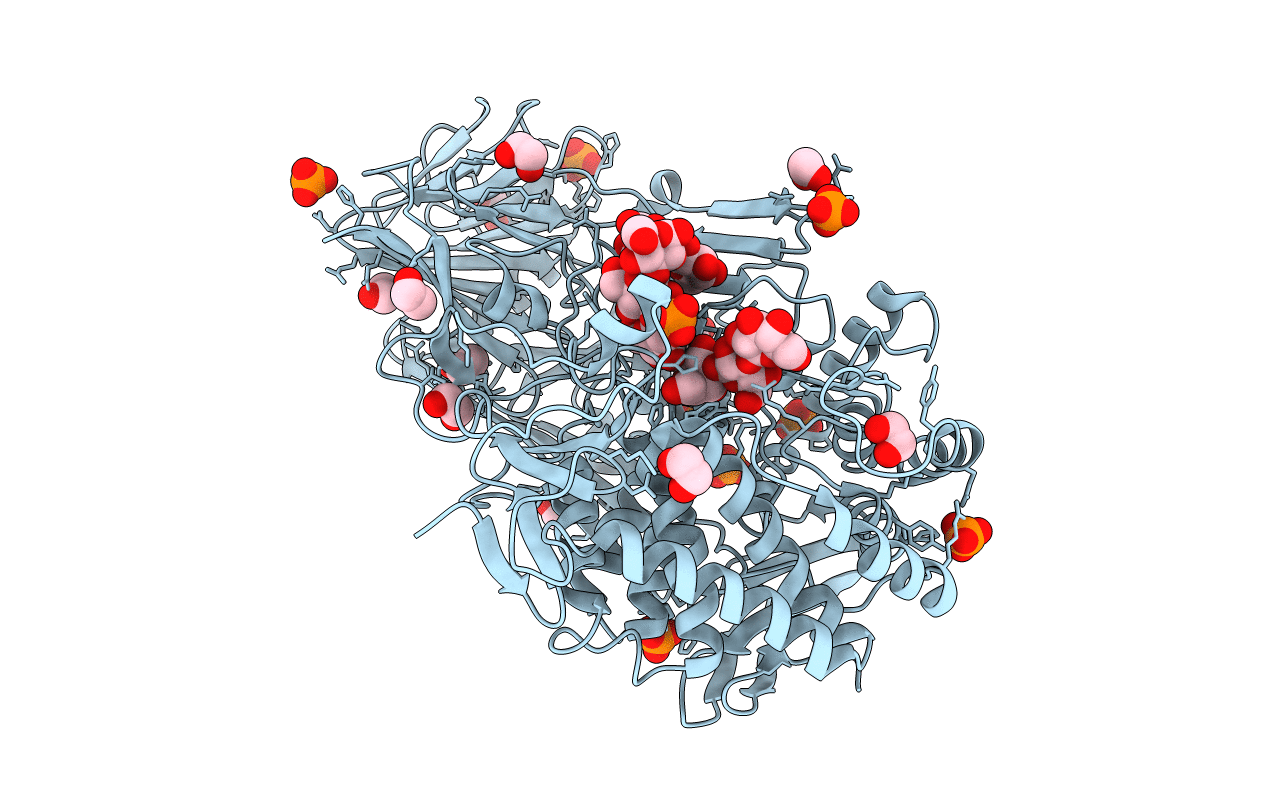5UPM image