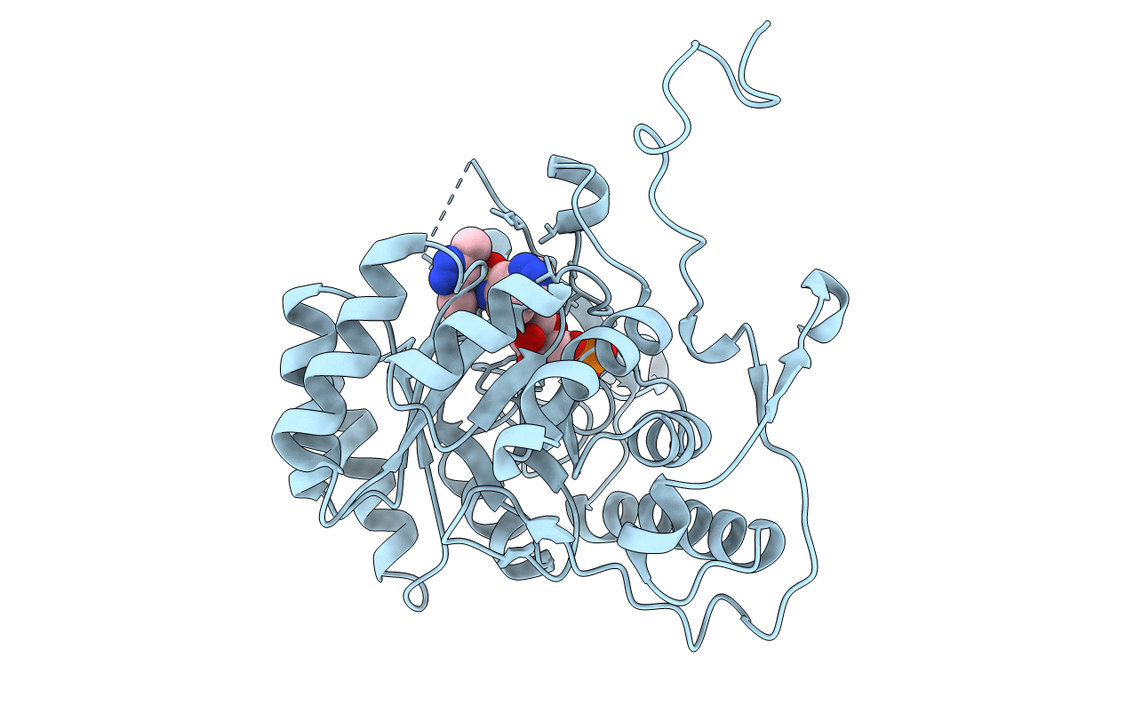5UPU image