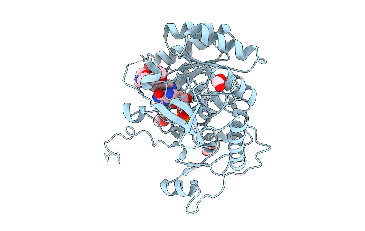 5UPV image