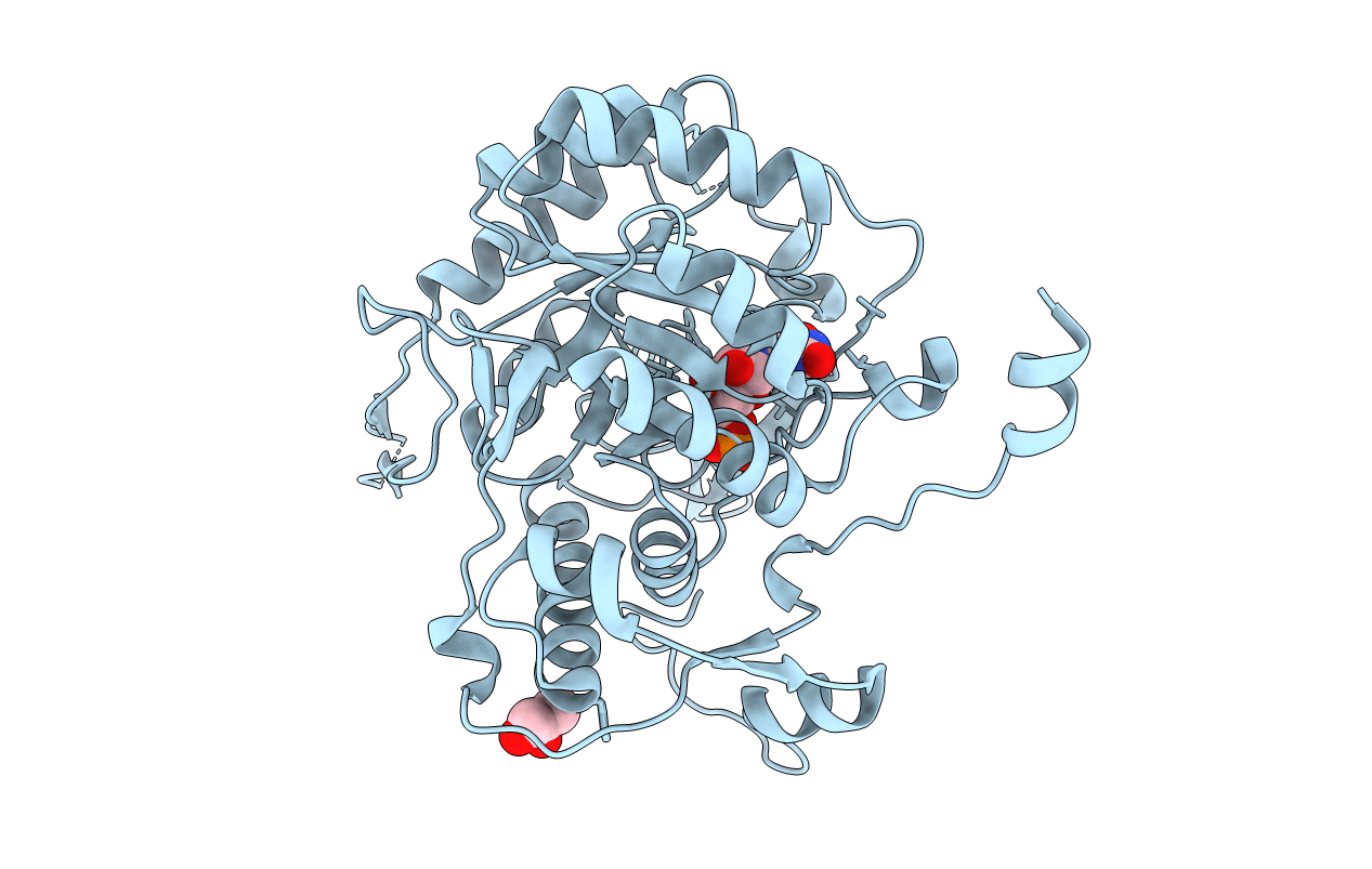 5UPX image