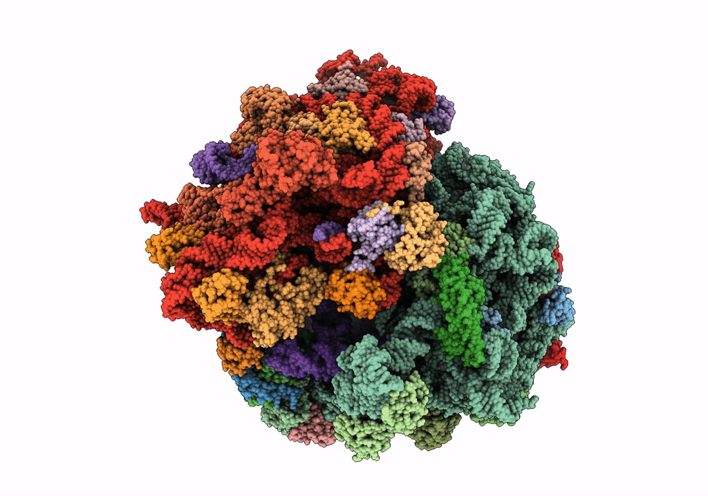 5UQ8 image