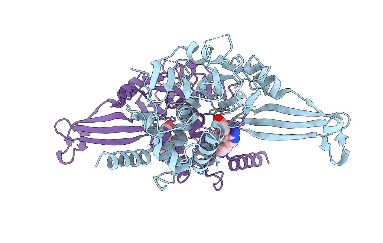 5UQV image