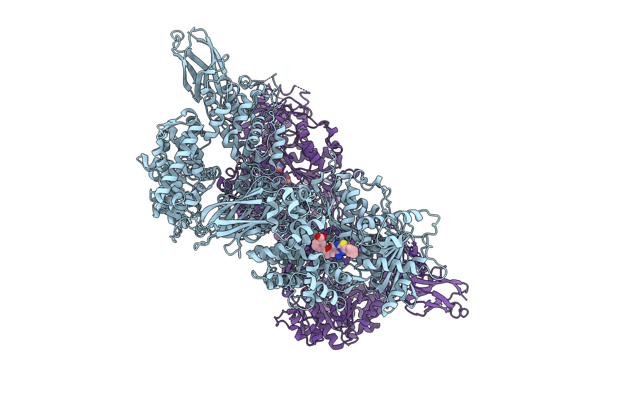 5URM image