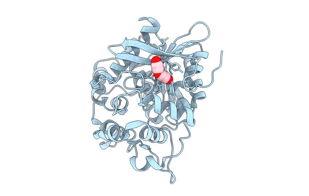 5URO image