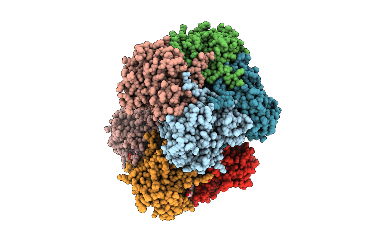 5URQ image