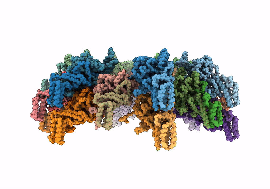 5URX image