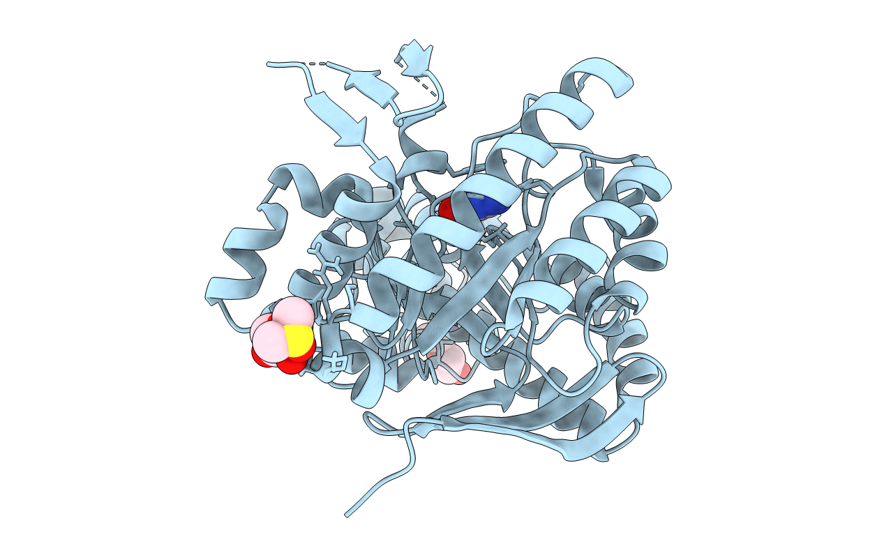 5UTJ image