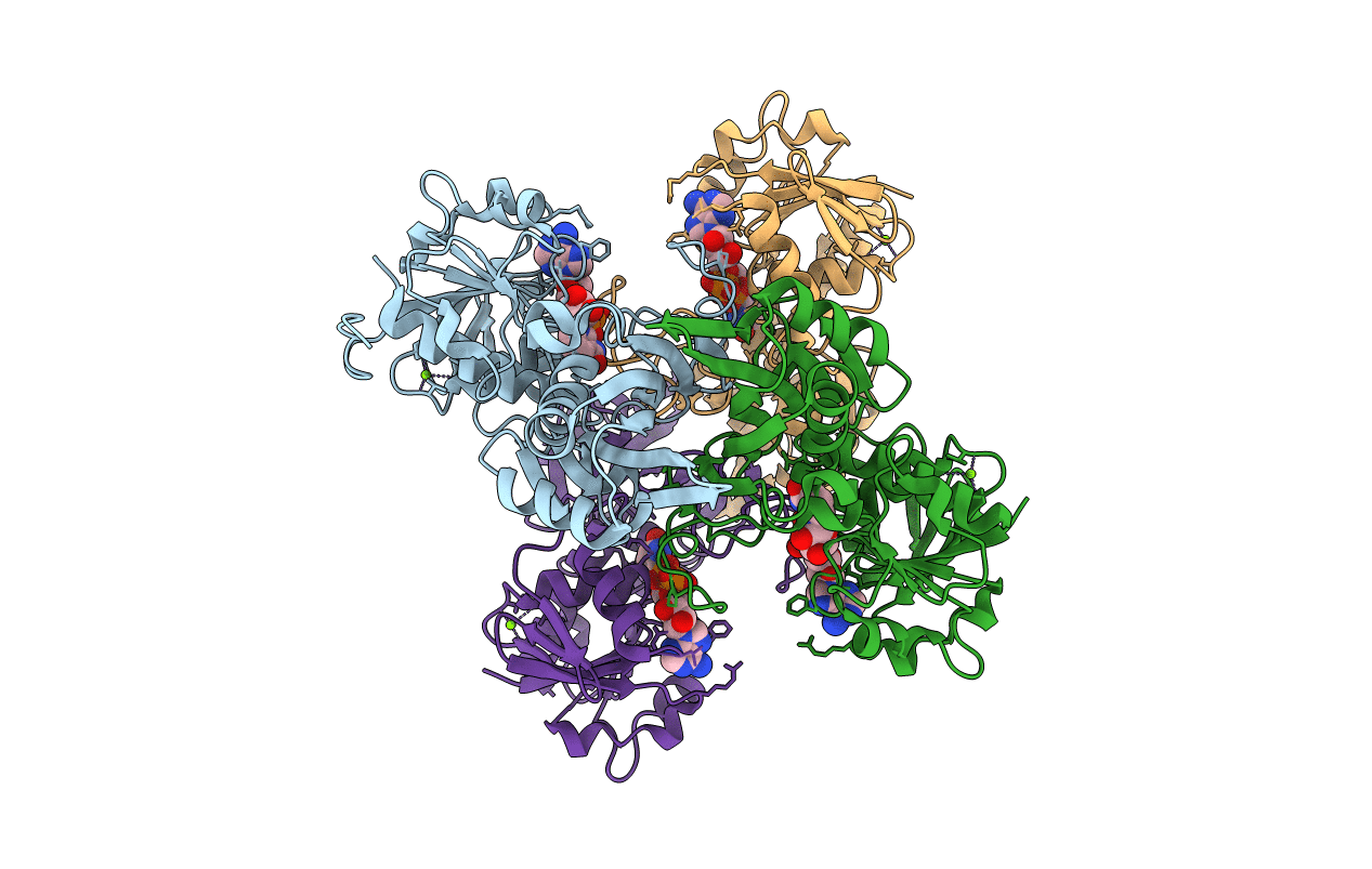 5UTM image