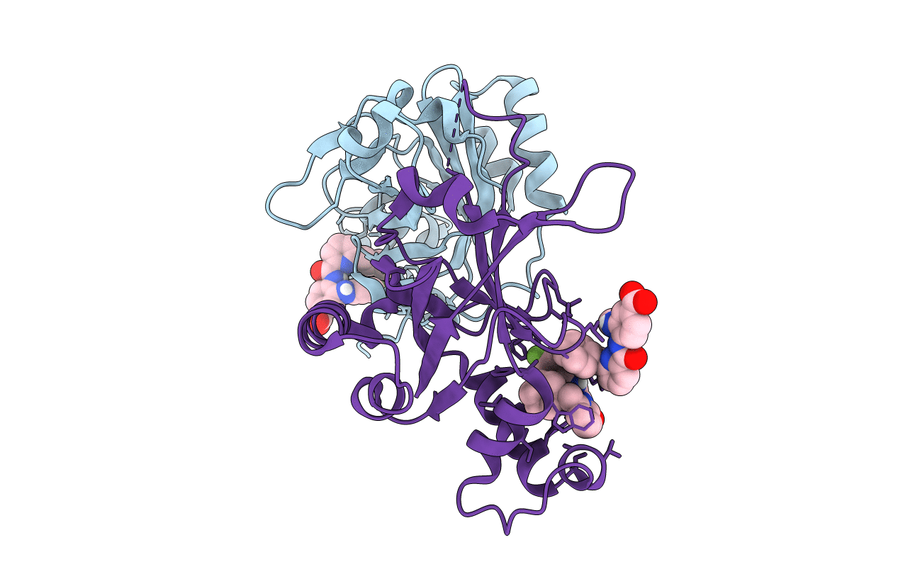 5UTN image