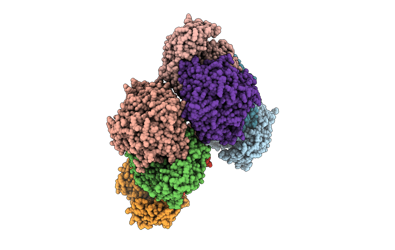 5UTS image