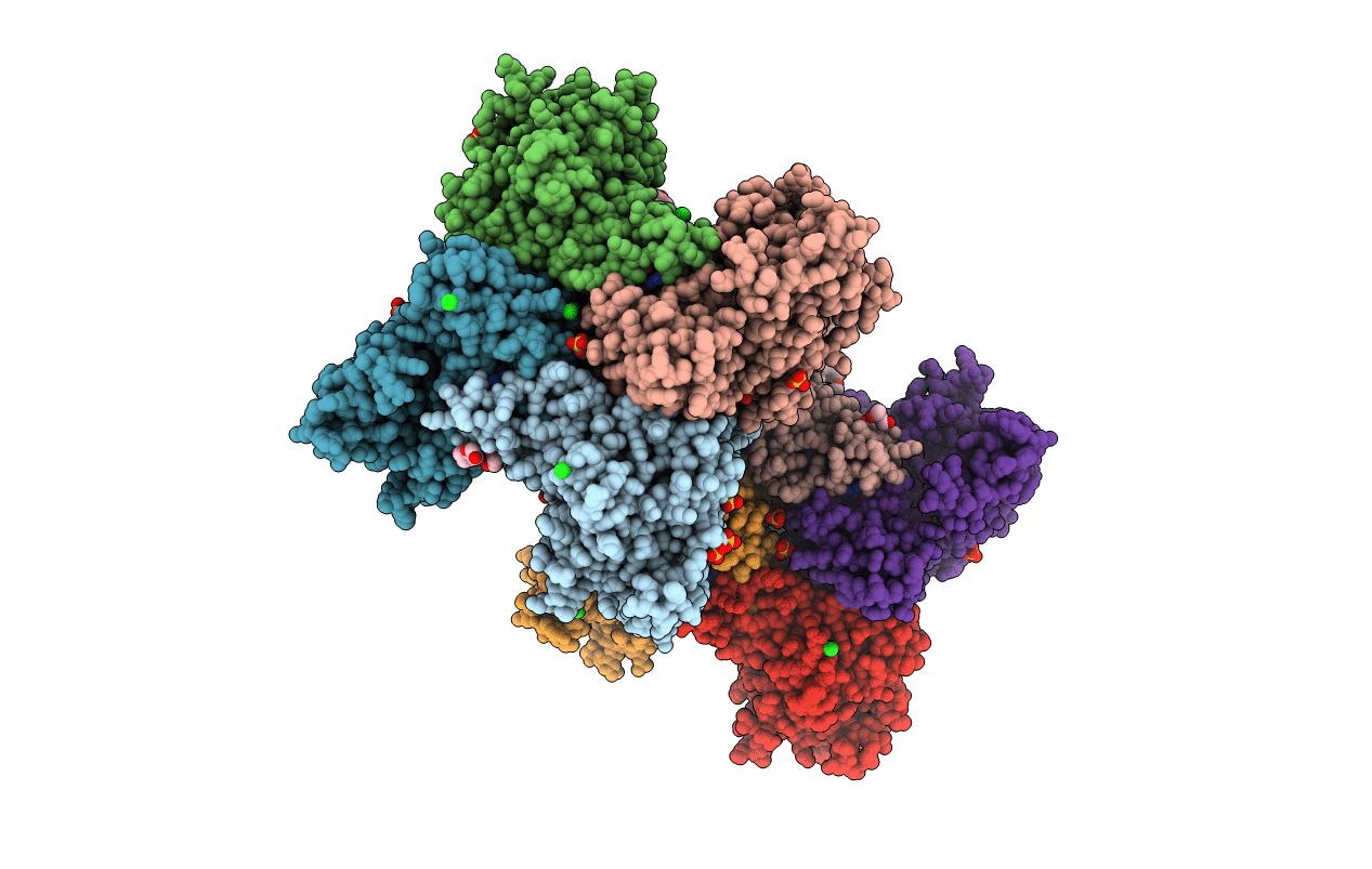 5UTU image