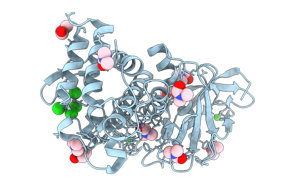 5UUD image