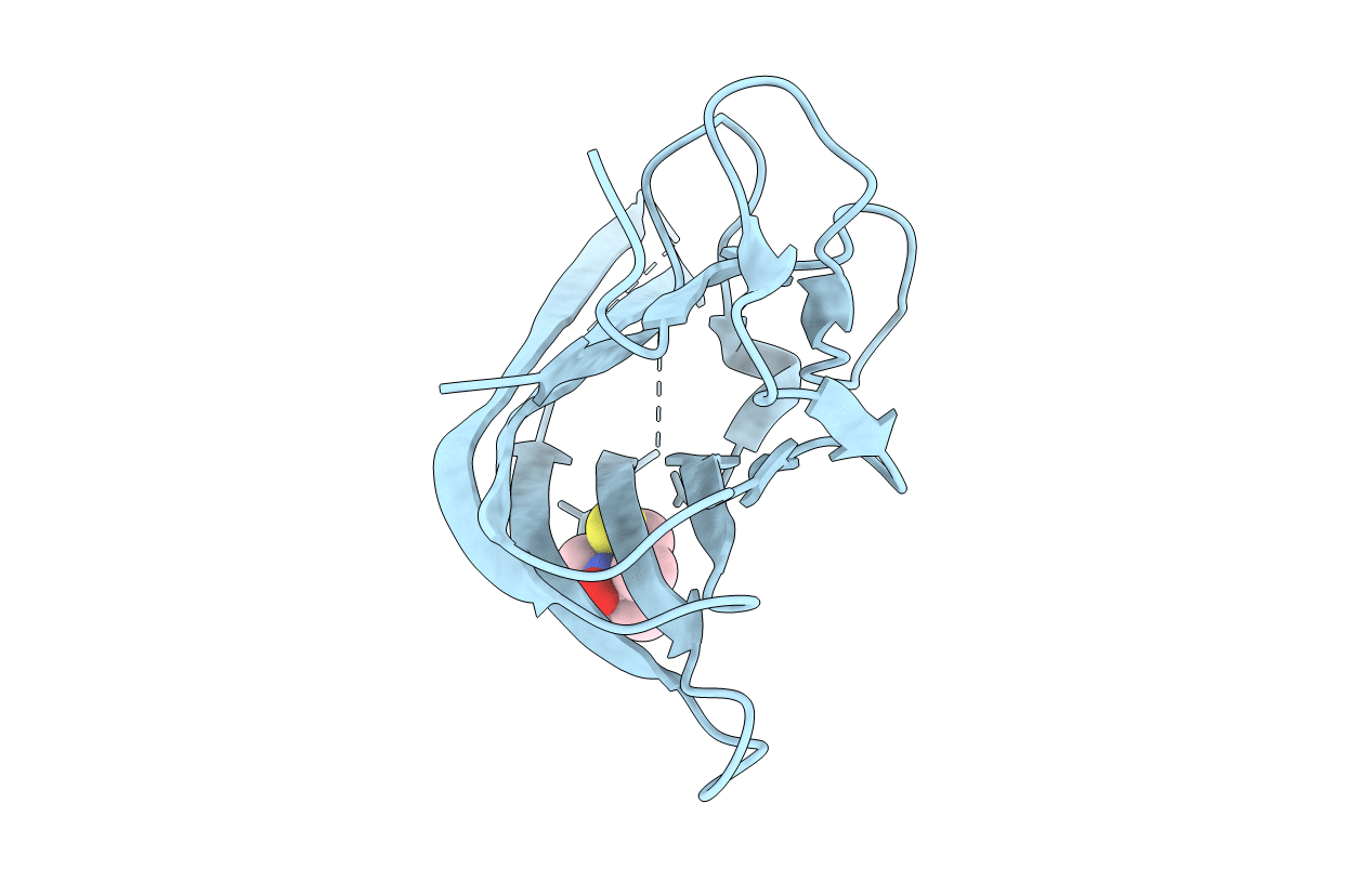 5UUI image