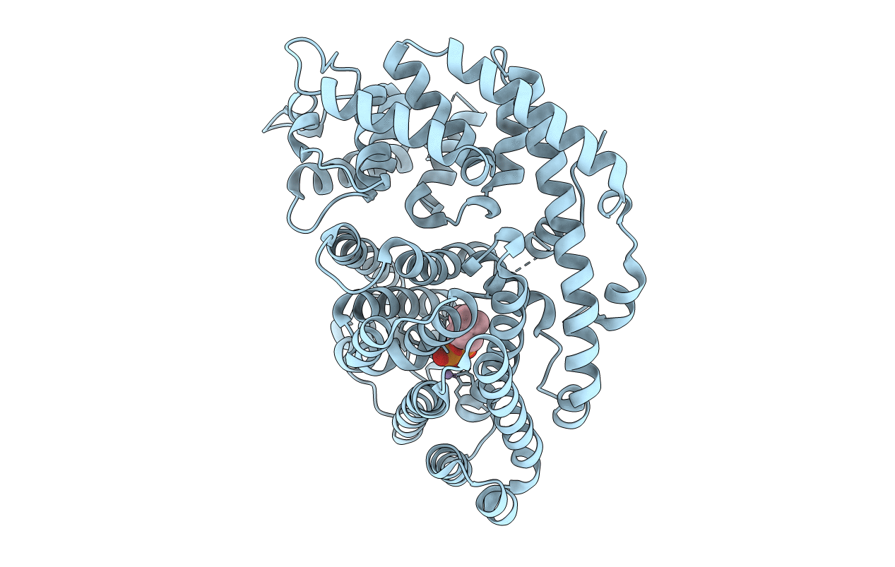 5UV2 image