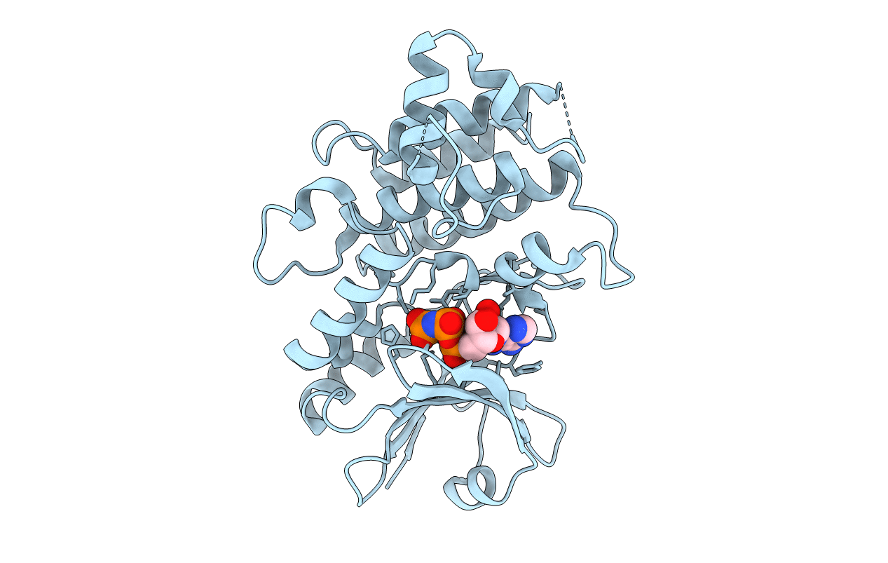 5UV4 image