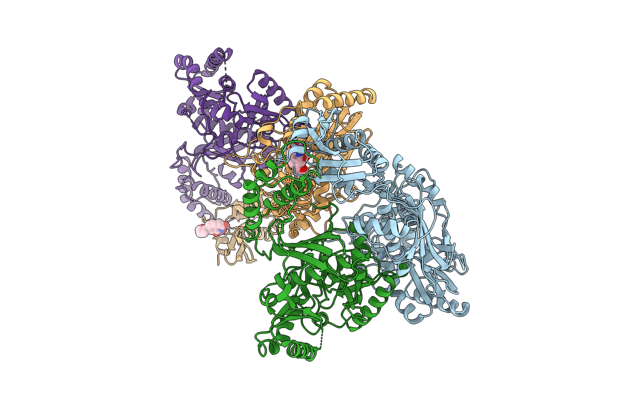 5UV5 image