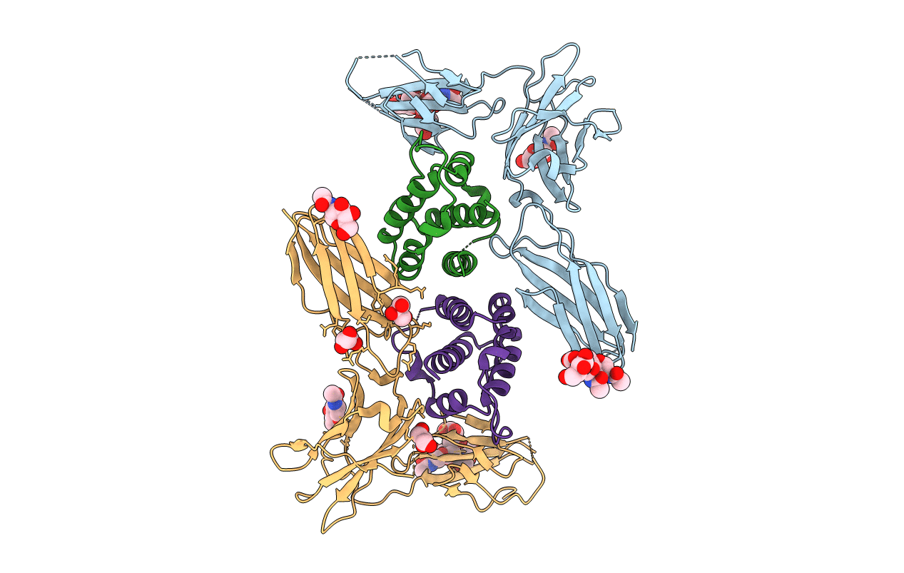 5UV8 image