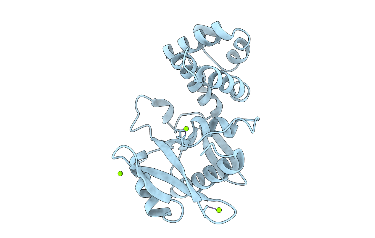 5UVD image