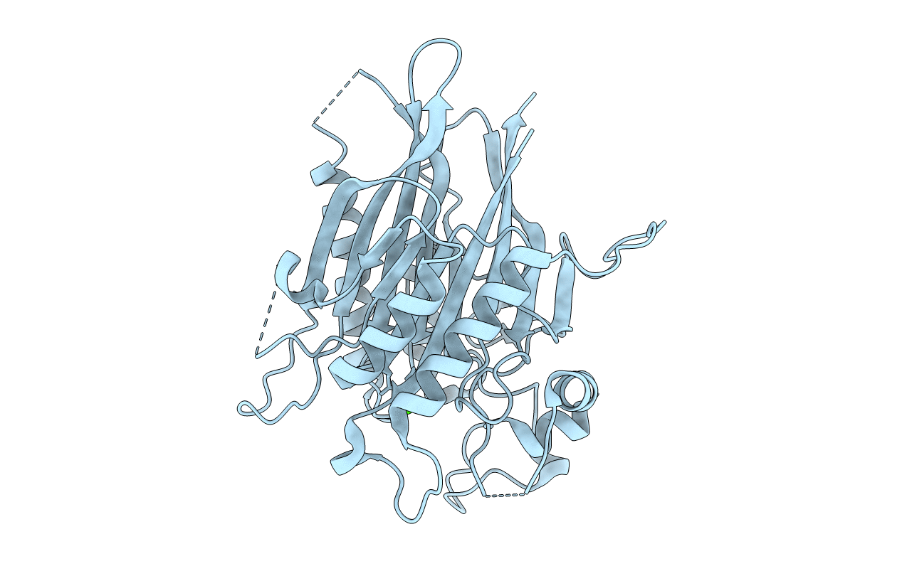 5UVG image