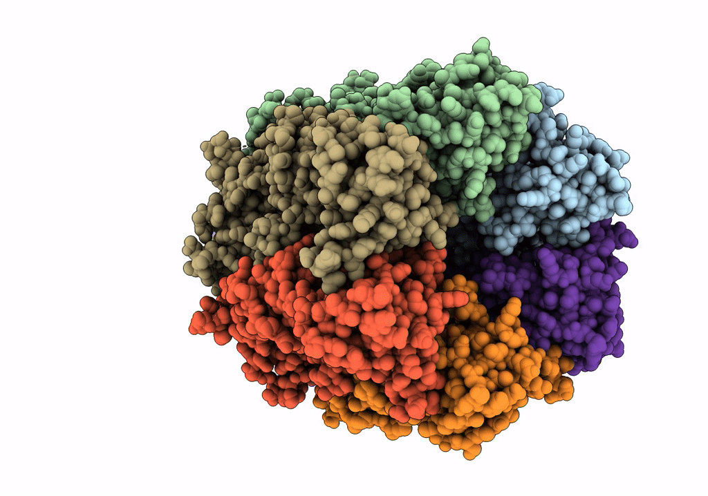 5UVN image