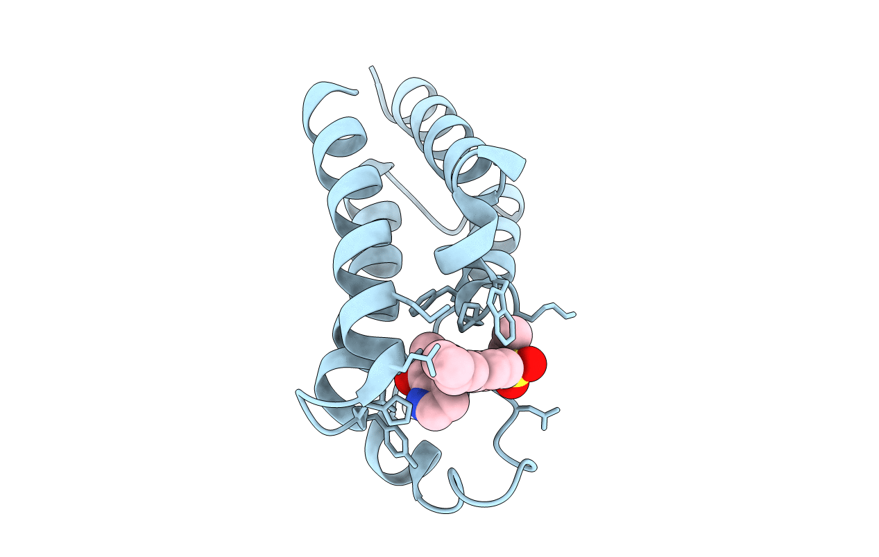 5UVS image