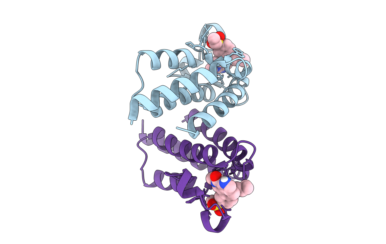 5UVV image