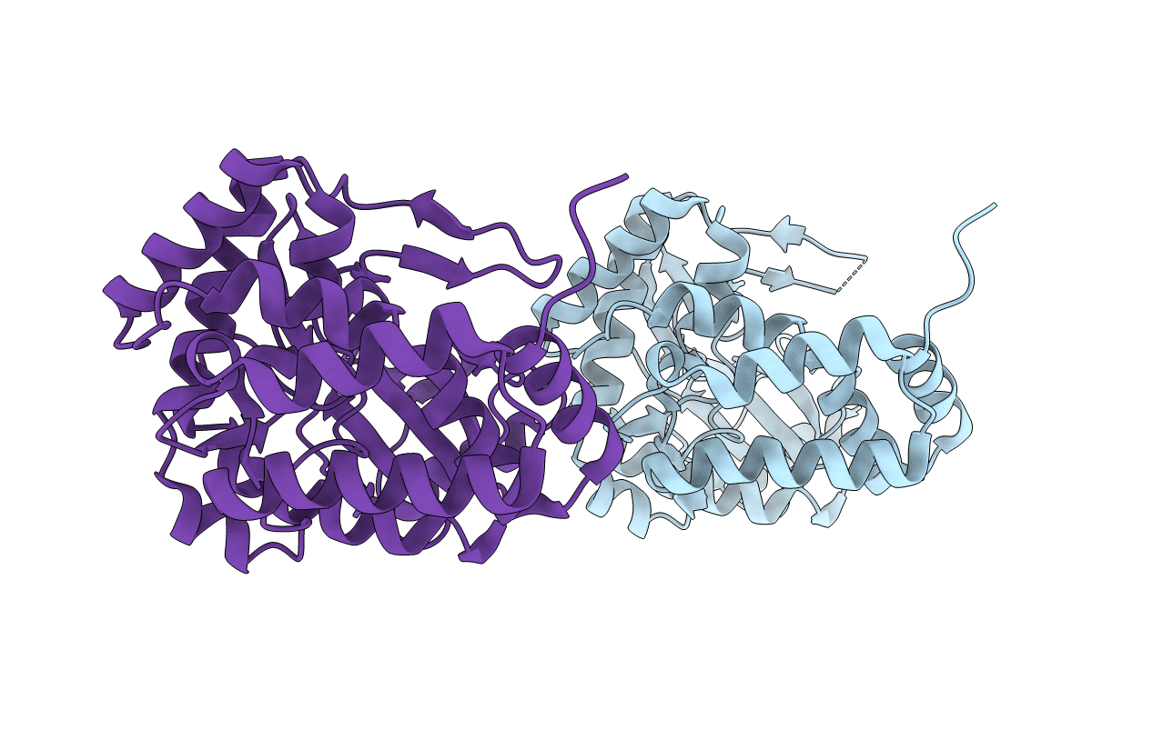 5UXB image