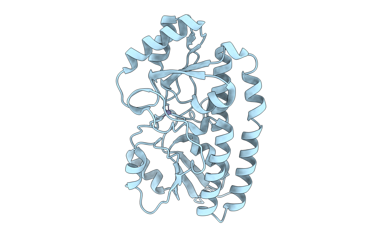 5UXU image
