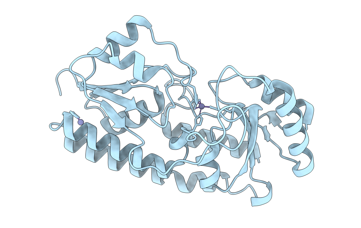 5uyg image
