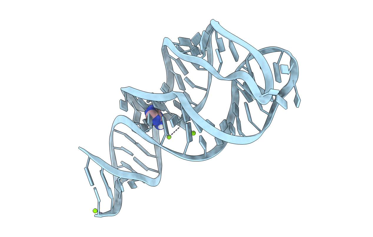 5UZA image