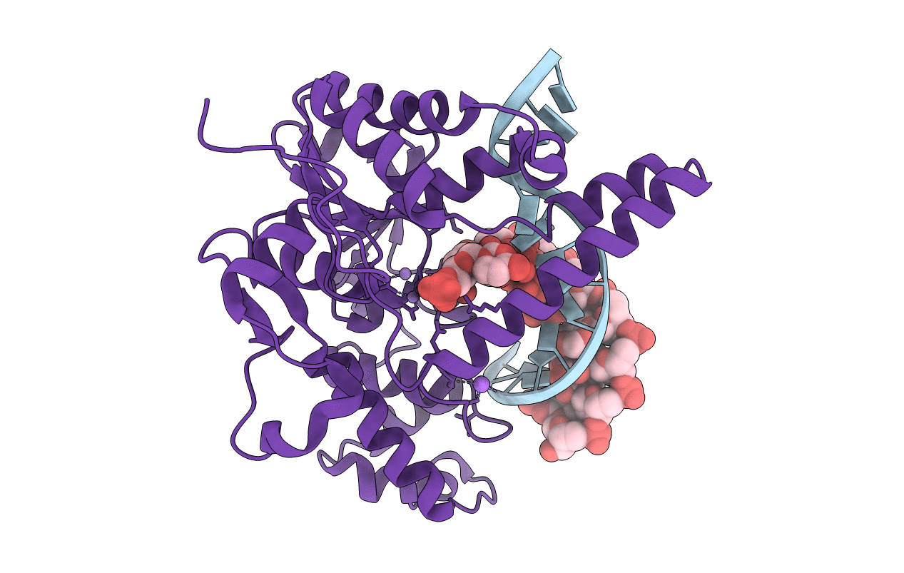 5V0B image