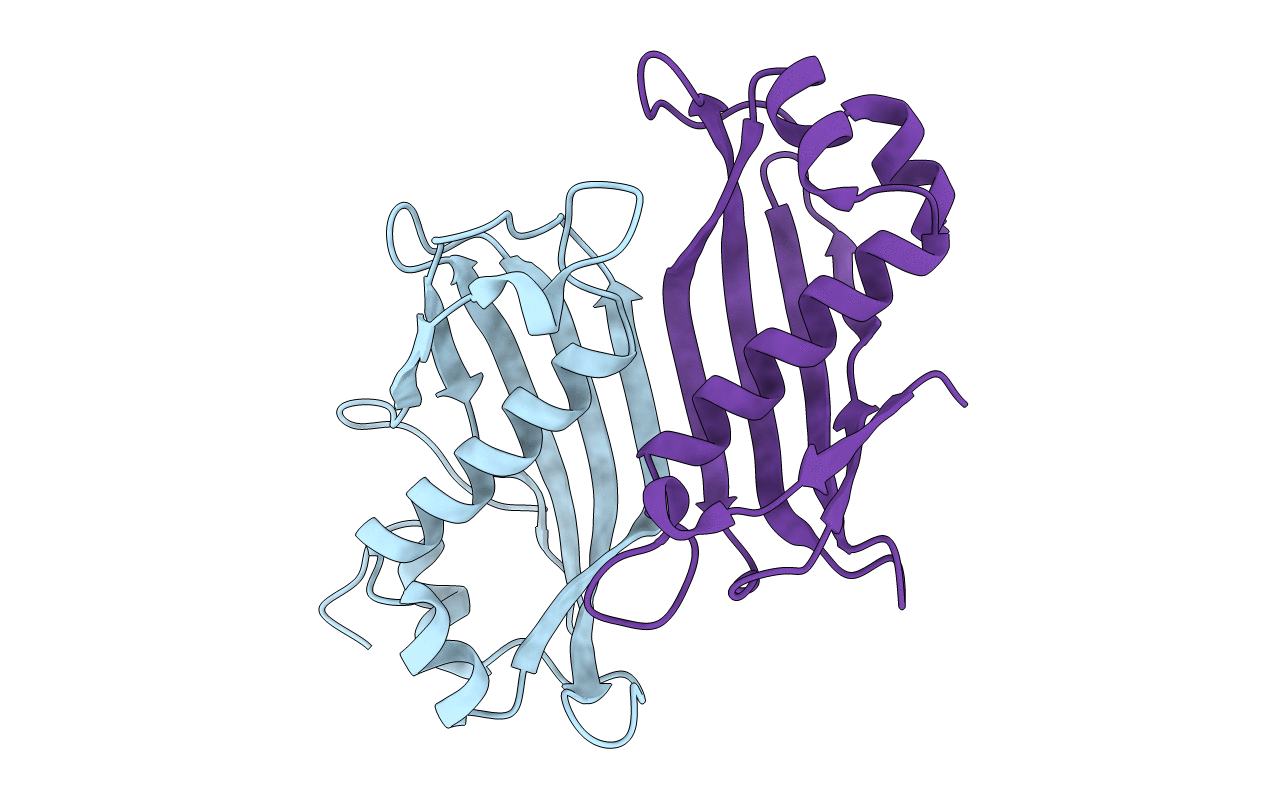 5V10 image