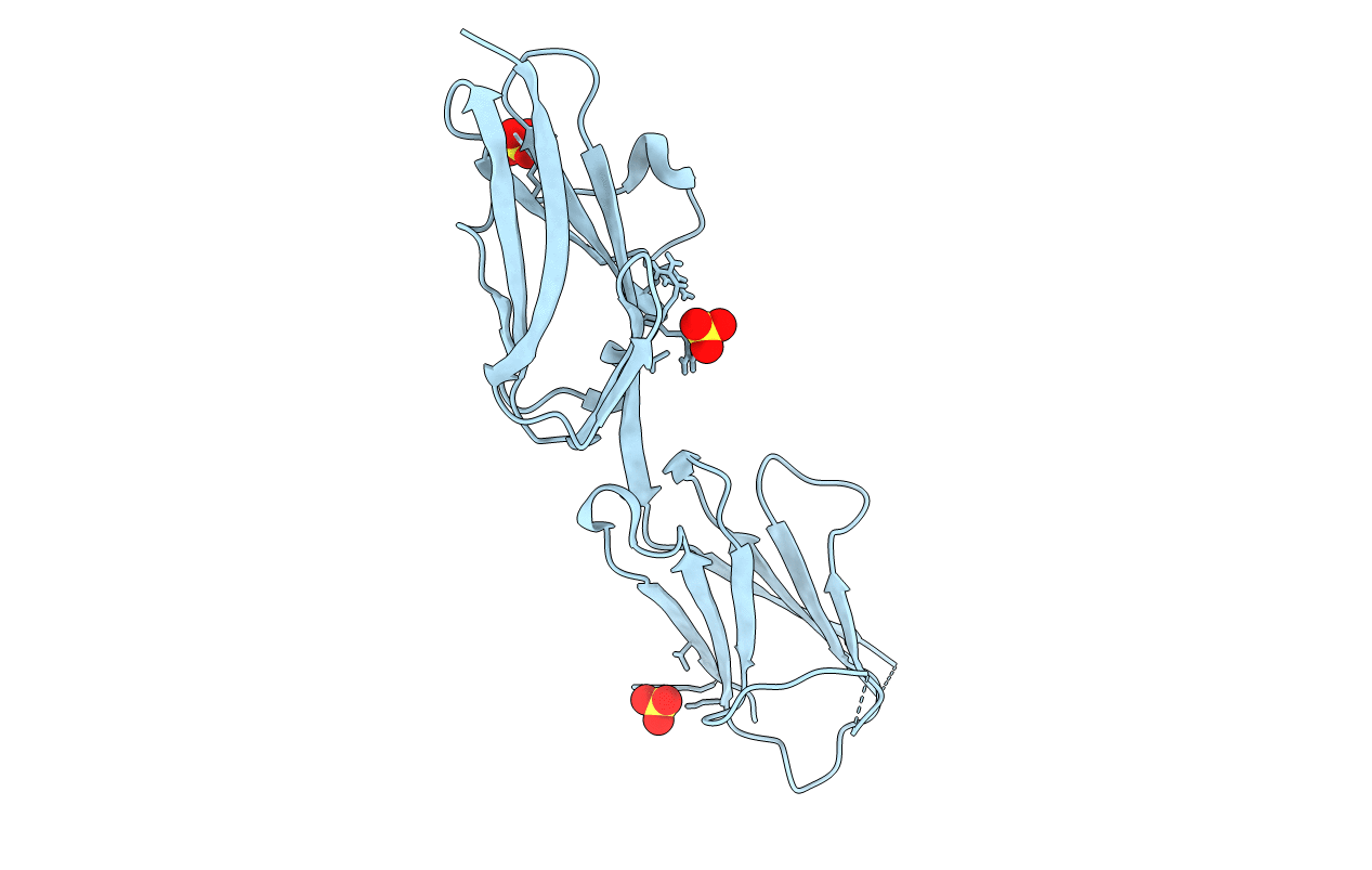 5V5W image