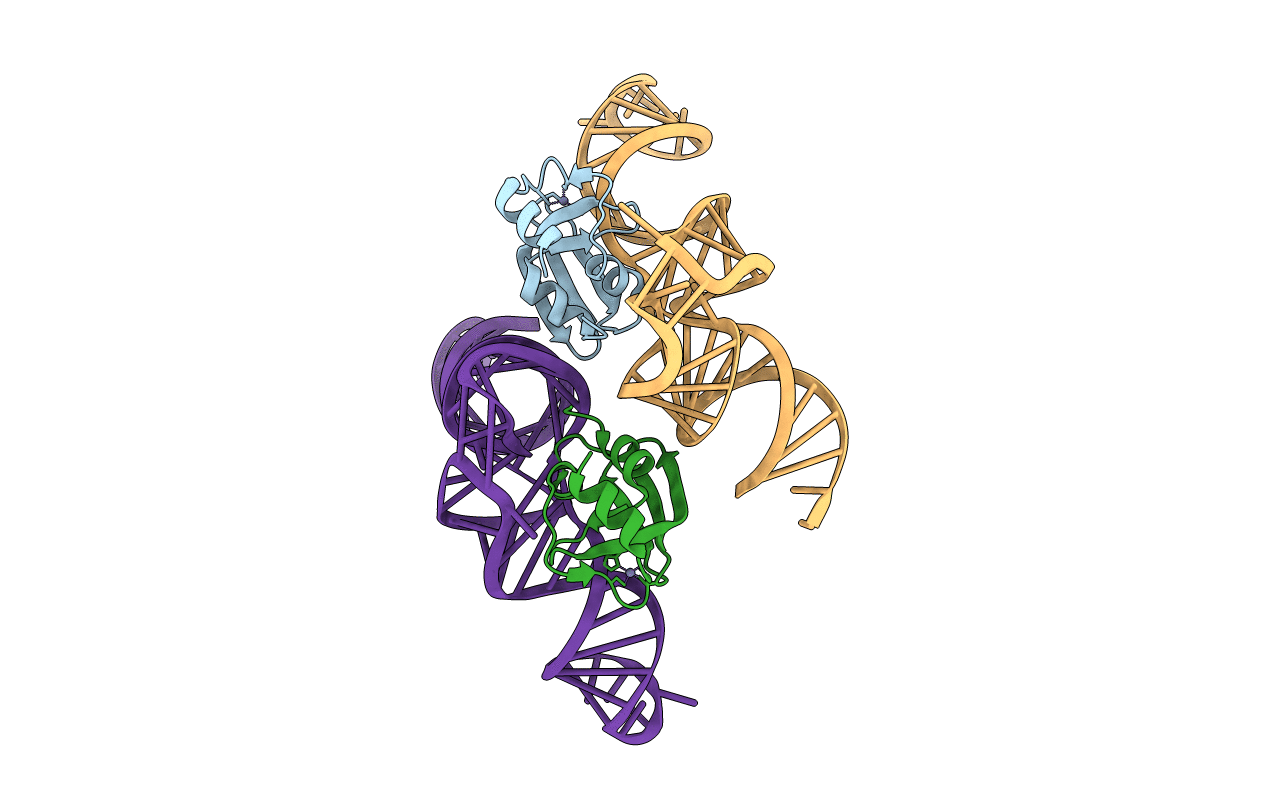 5V6X image