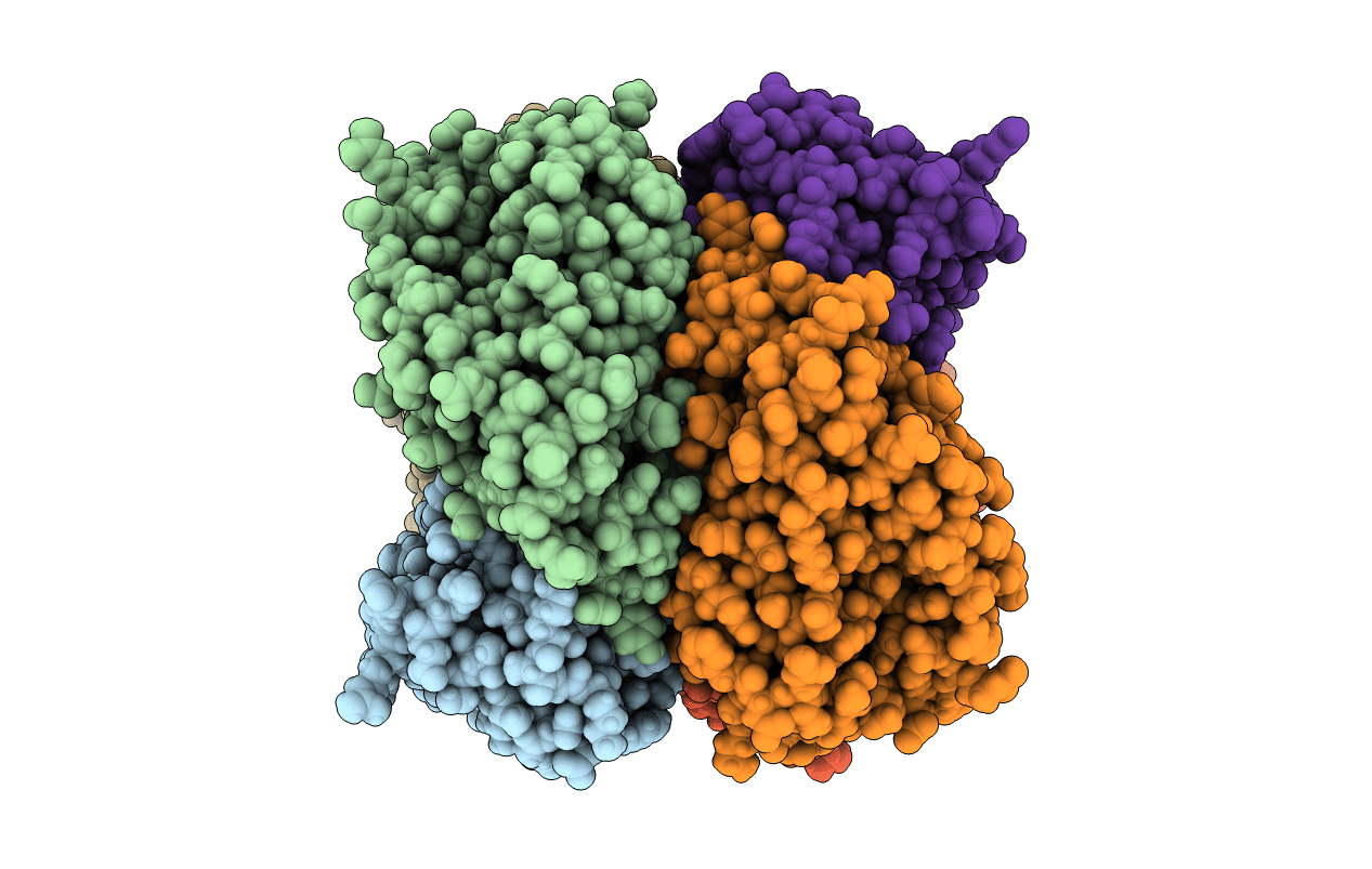 5V75 image