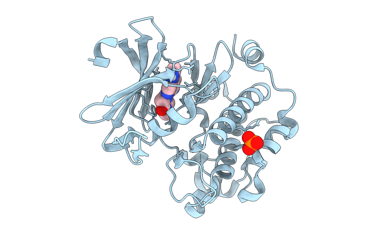 5V80 image