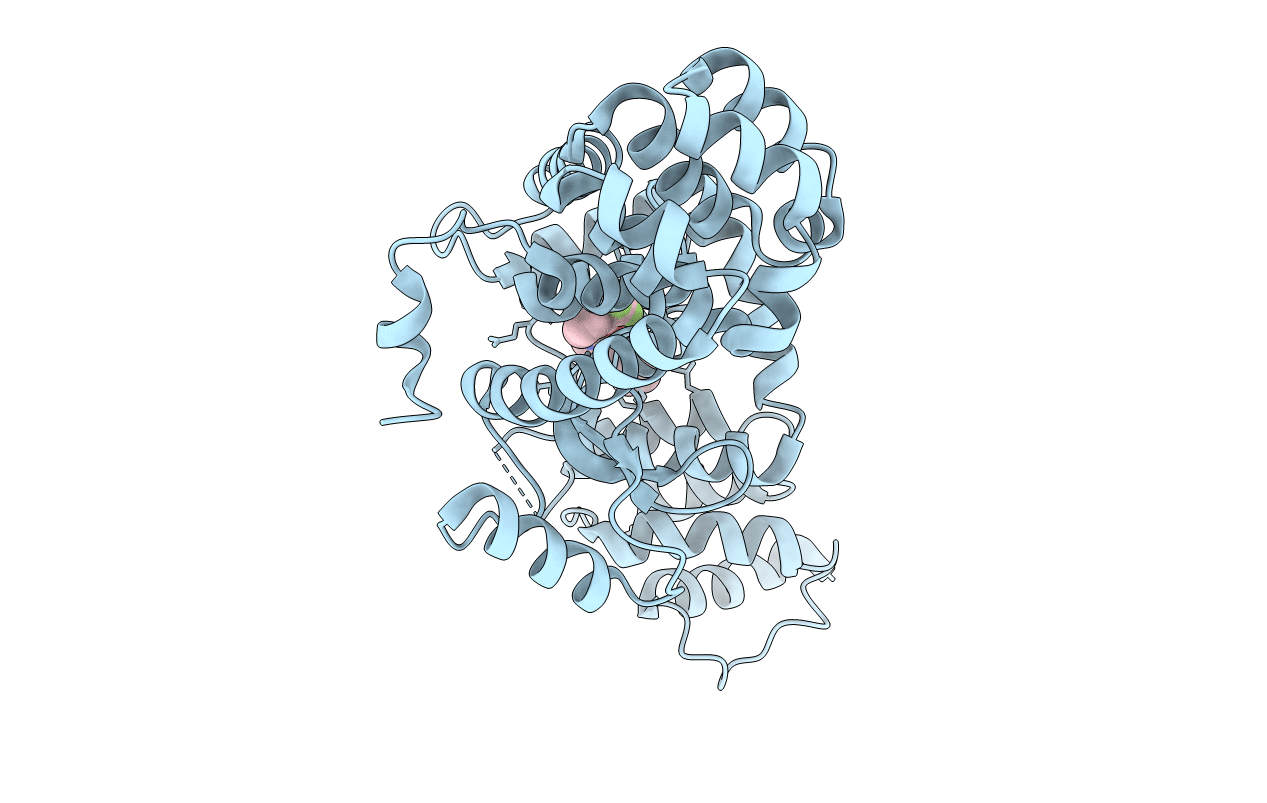 5V83 image