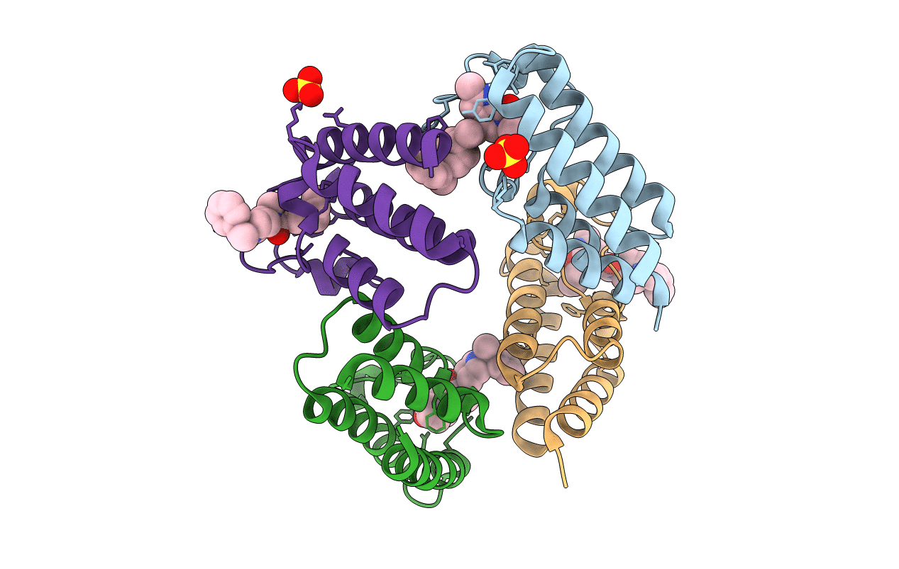 5V84 image