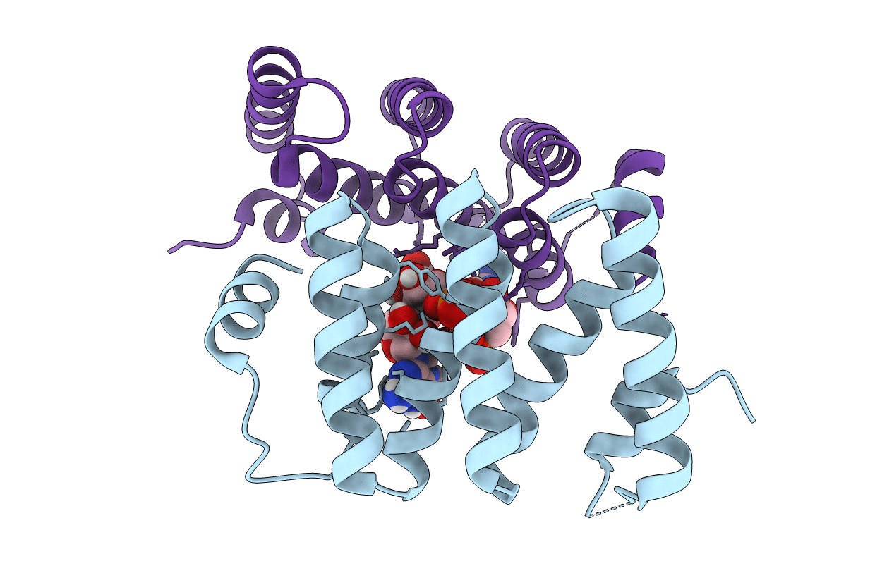 5V87 image