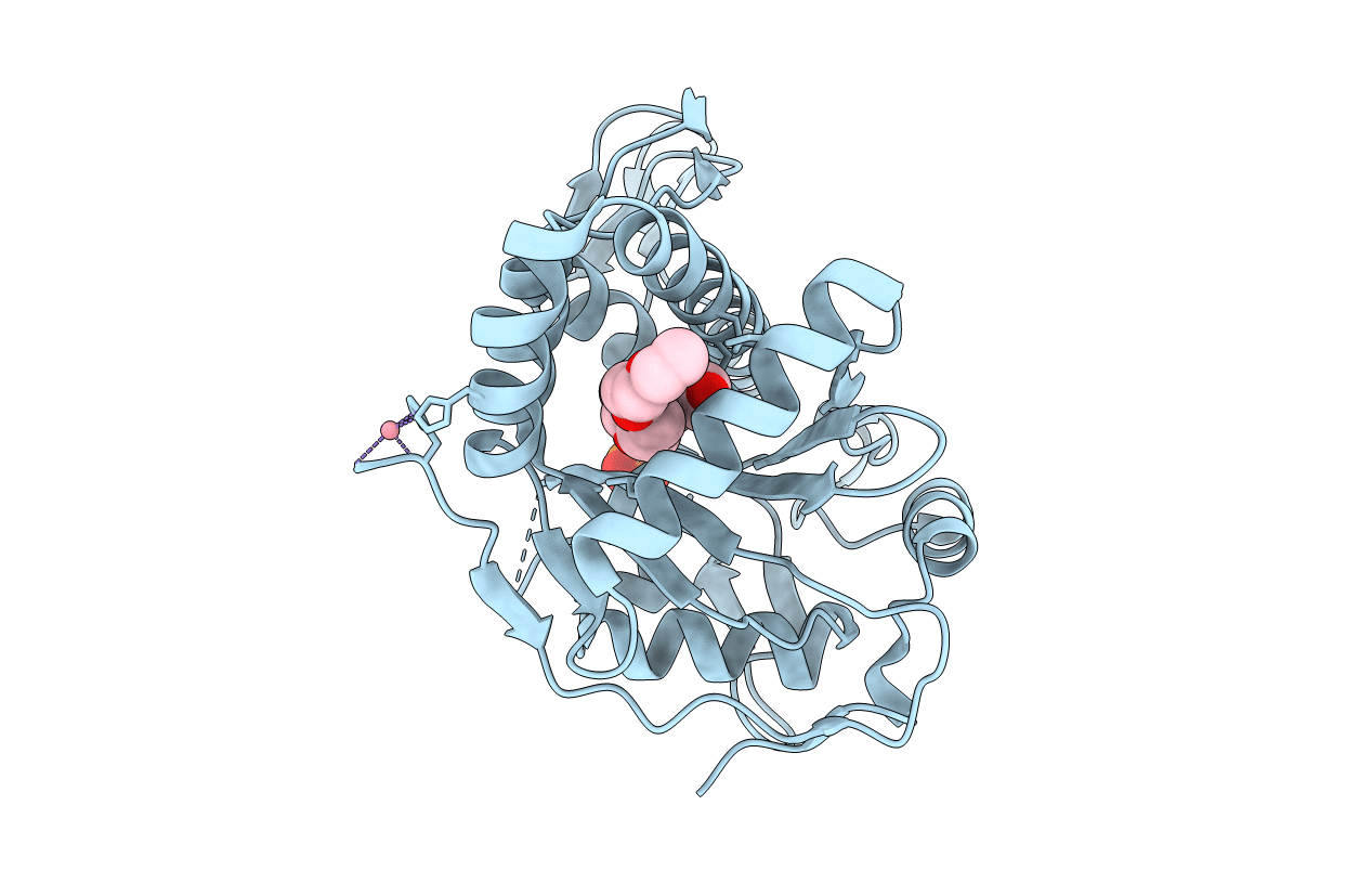 5V8C image
