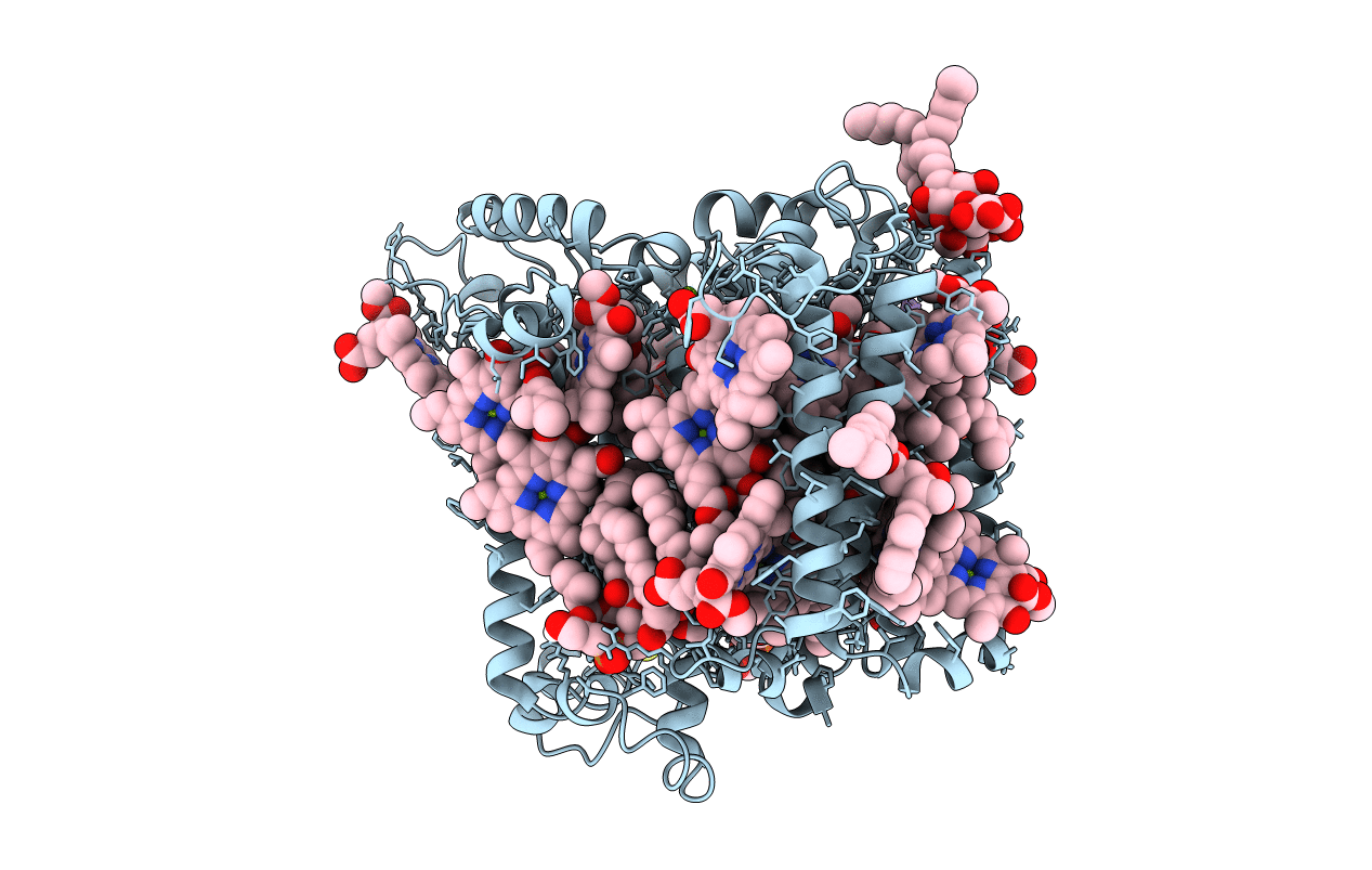 5V8K image