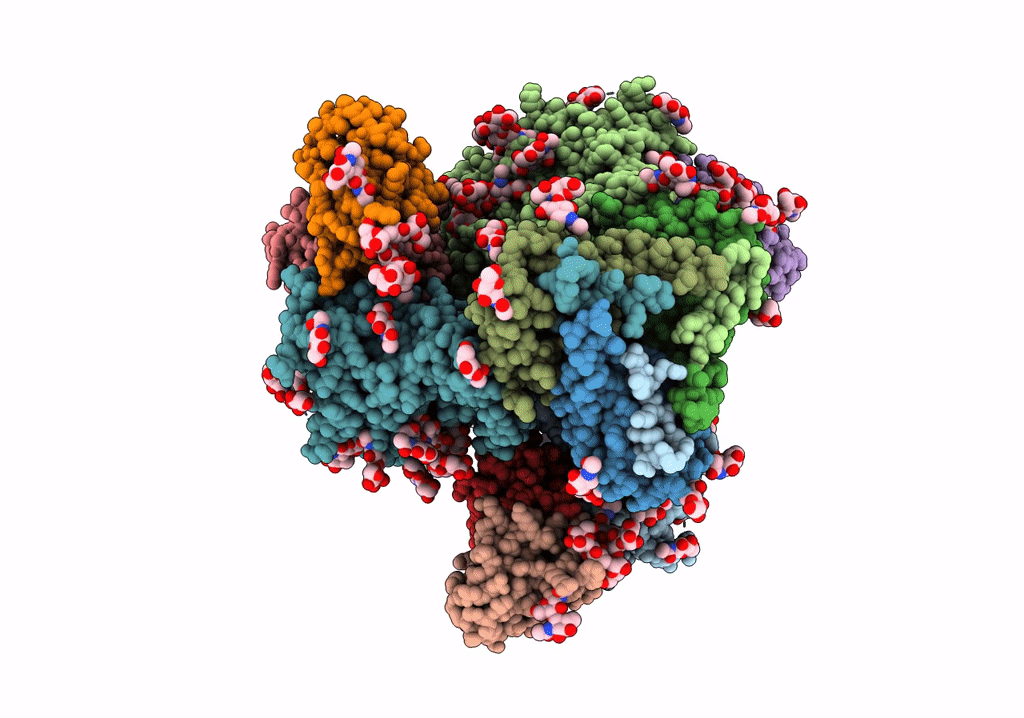 5V8L image