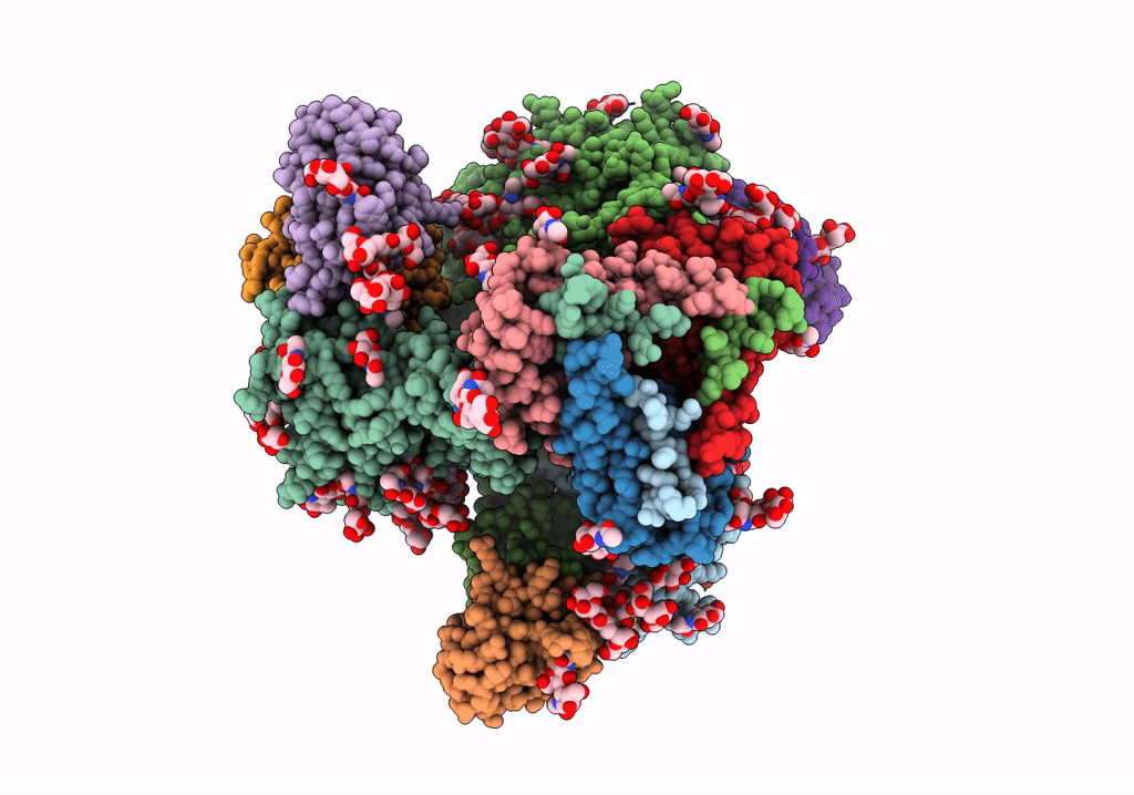 5V8M image