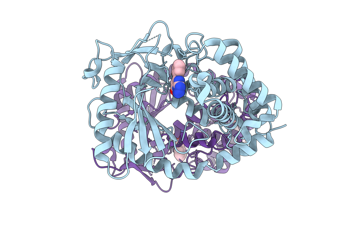 5V8O image
