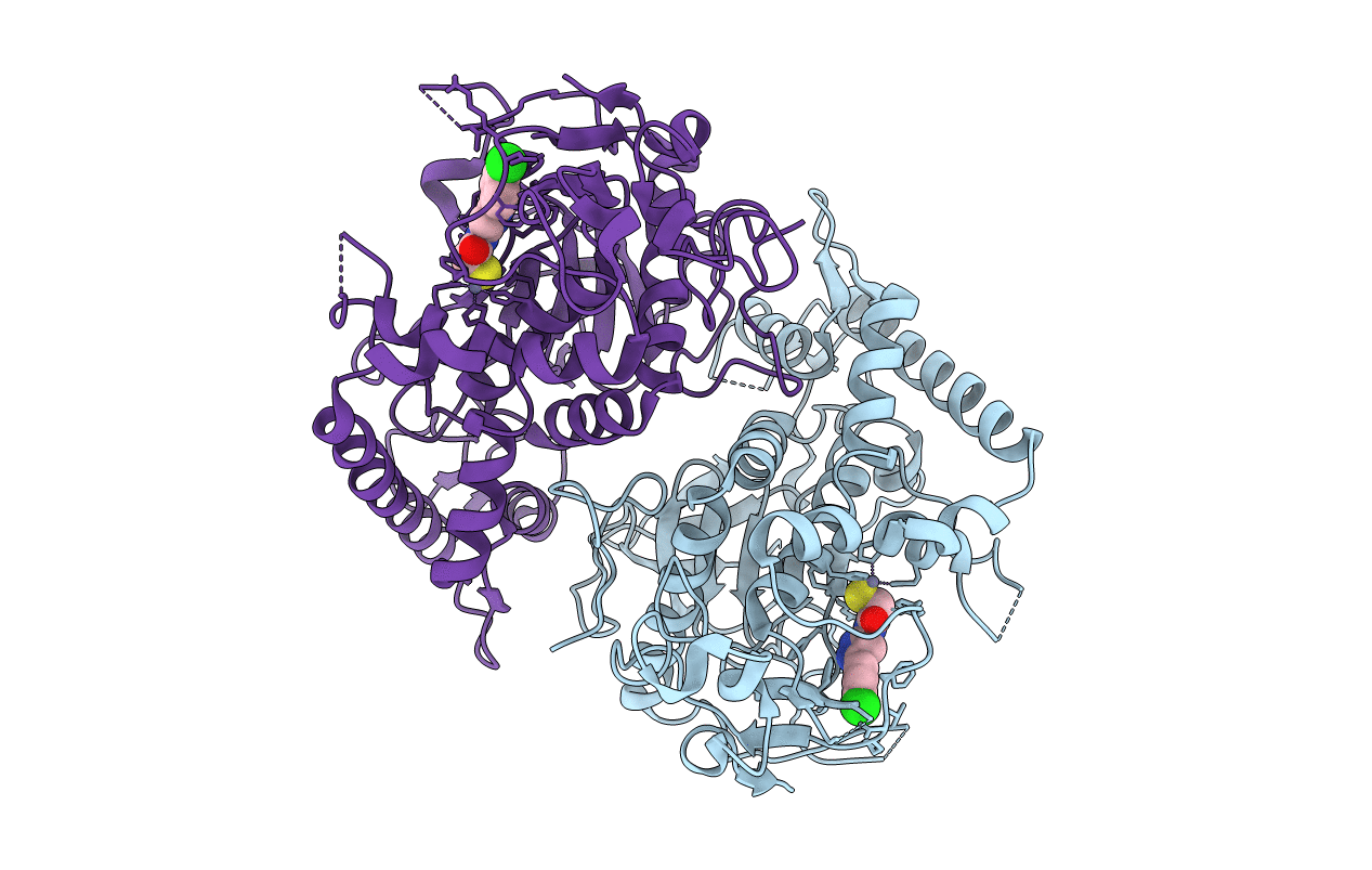 5V8P image