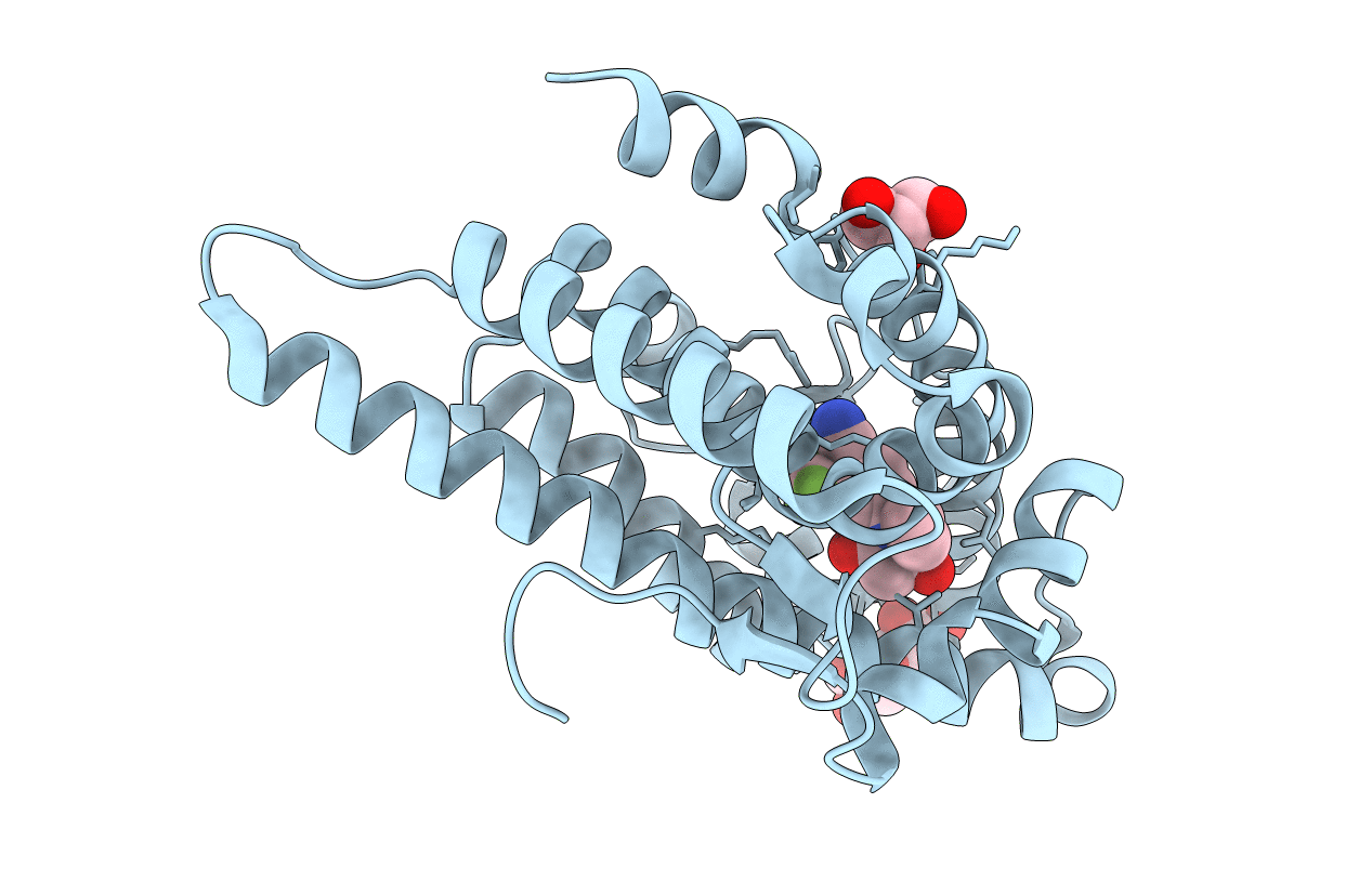5V8Q image