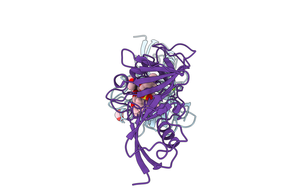 5V8T image