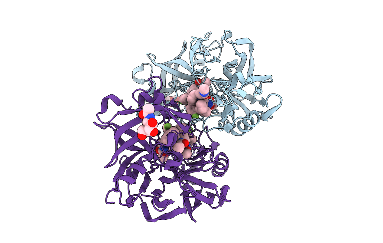 5V8V image