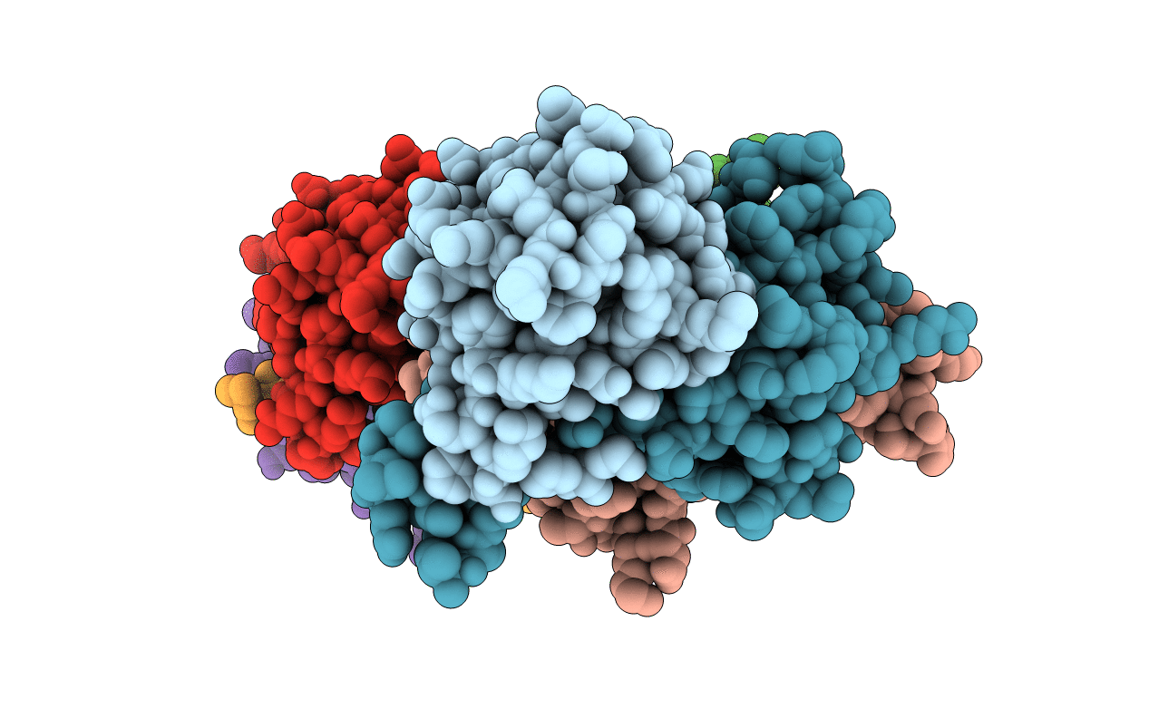 5V8W image